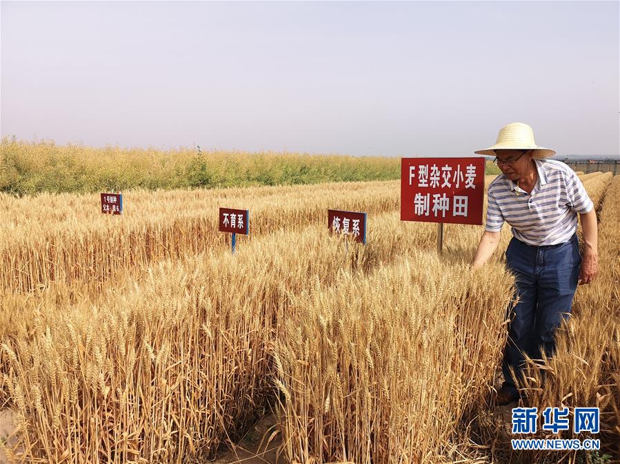 （在習近平新時代中國特色社會主義思想指引下&mdash;&mdash;新時代新作為新篇章&middot;習近平總書記關(guān)切事&middot;圖文互動）（3）讓百姓吃得飽還要吃得好&mdash;&mdash;夯實糧食安全基礎端牢中國飯碗