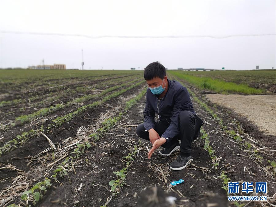 （在習近平新時代中國特色社會主義思想指引下&mdash;&mdash;新時代新作為新篇章&middot;習近平總書記關(guān)切事&middot;圖文互動）（4）讓百姓吃得飽還要吃得好&mdash;&mdash;夯實糧食安全基礎端牢中國飯碗