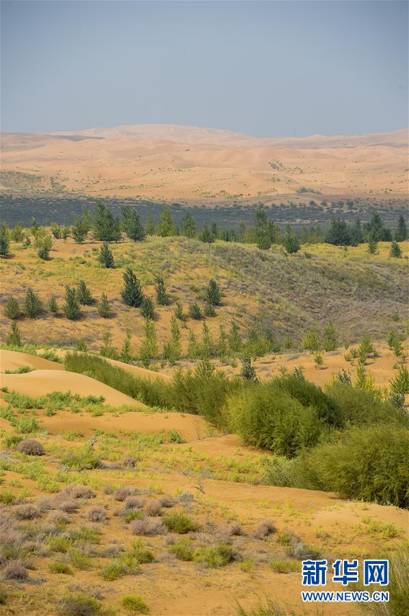 （在習(xí)近平新時代中國特色社會主義思想指引下&mdash;&mdash;新時代新作為新篇章&middot;習(xí)近平總書記關(guān)切事&middot;圖文互動）（6）綠意，在黃沙中鋪展&mdash;&mdash;我國防沙治沙紀(jì)實