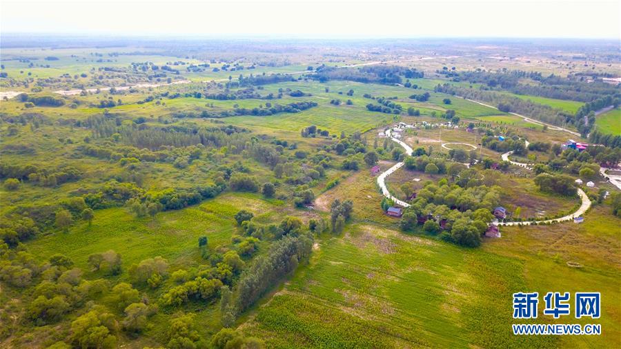 （在習(xí)近平新時代中國特色社會主義思想指引下&mdash;&mdash;新時代新作為新篇章&middot;習(xí)近平總書記關(guān)切事&middot;圖文互動）（1）綠意，在黃沙中鋪展&mdash;&mdash;我國防沙治沙紀(jì)實