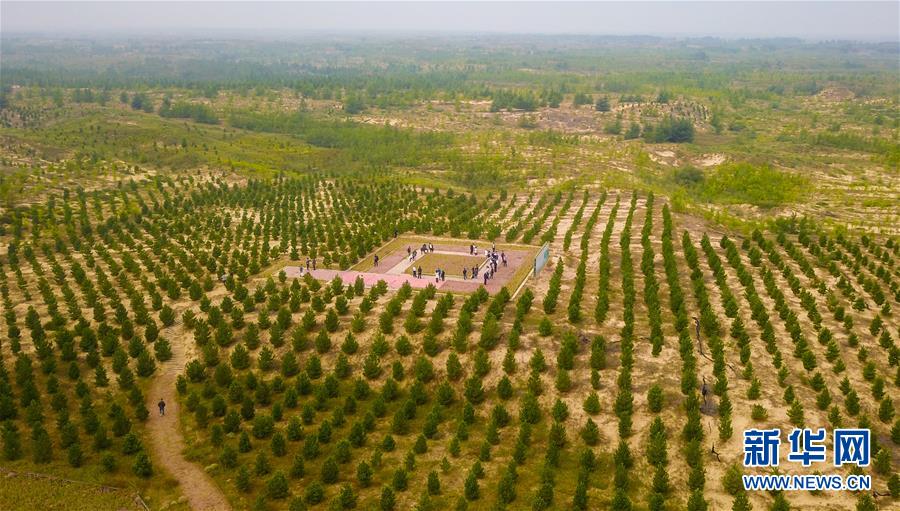 （在習(xí)近平新時代中國特色社會主義思想指引下&mdash;&mdash;新時代新作為新篇章&middot;習(xí)近平總書記關(guān)切事&middot;圖文互動）（2）綠意，在黃沙中鋪展&mdash;&mdash;我國防沙治沙紀(jì)實
