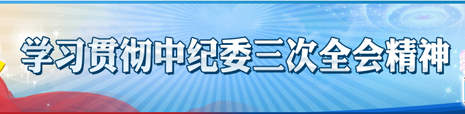 學(xué)習(xí)貫徹中紀(jì)委三次全會精神