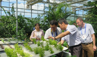 多國(guó)專(zhuān)家齊聚新疆共謀絲路新發(fā)展