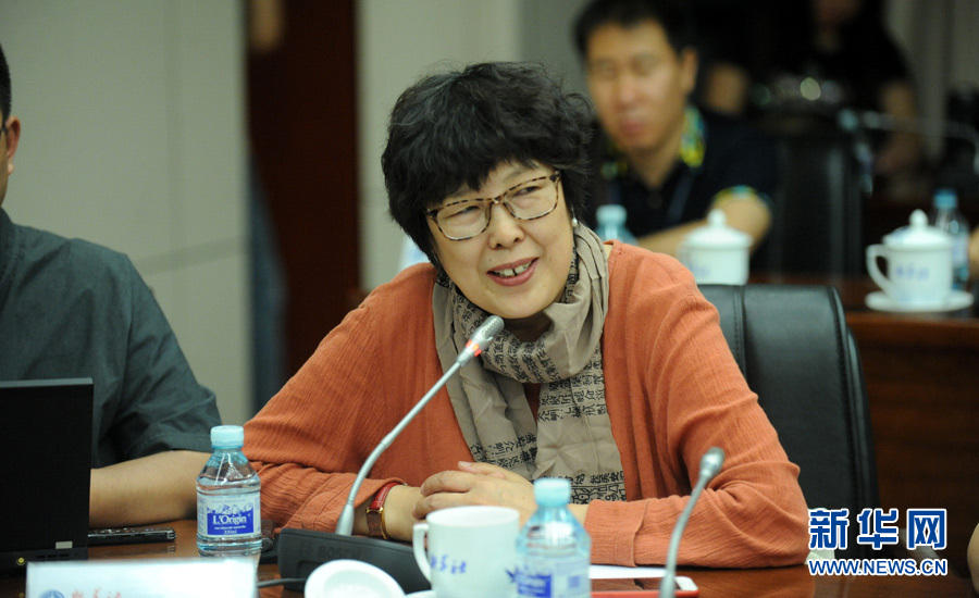 陳小波：新華人對歷史的擔(dān)當(dāng)、情感與良知