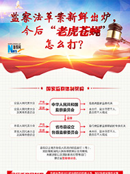 監(jiān)察法草案新鮮出爐 今后&ldquo;老虎蒼蠅&rdquo;怎么打？