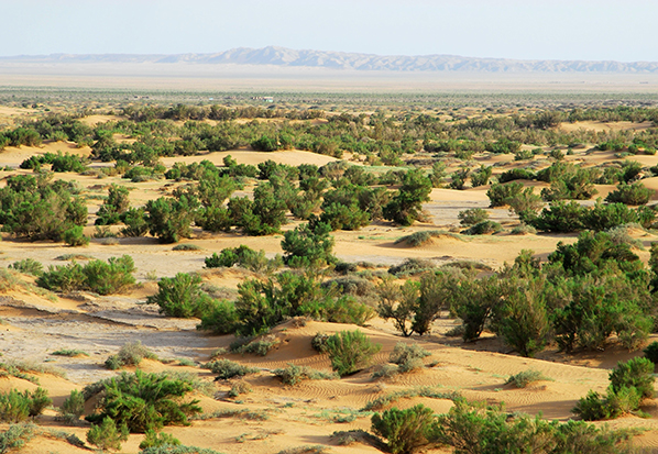 【長篇通訊】塞罕壩，京城綠色屏障的前世今生