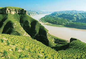 張建龍：&ldquo;三北工程&rdquo;實現(xiàn)生態(tài)、經(jīng)濟、社會效益&ldquo;多贏&rdquo;