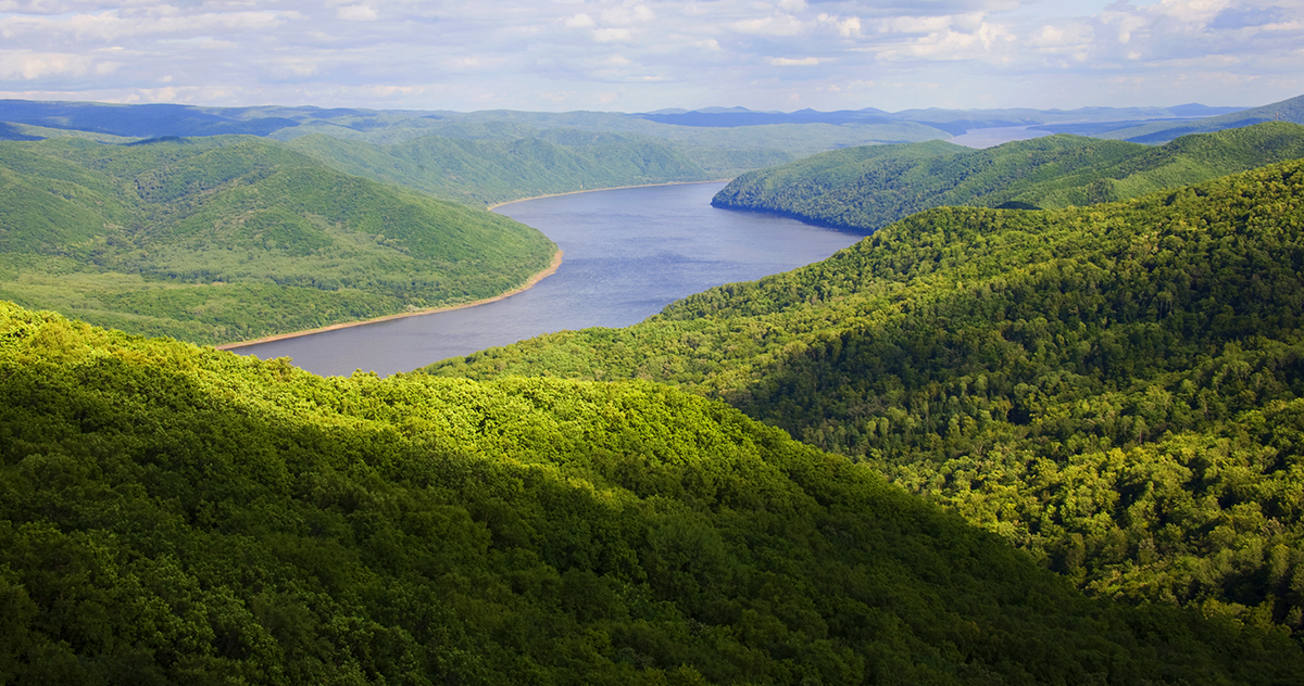 張建龍：&ldquo;三北工程&rdquo;實現(xiàn)生態(tài)、經(jīng)濟、社會效益&ldquo;多贏&rdquo;