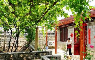 &ldquo;葡萄之鄉(xiāng)&rdquo;河北昌黎打造精品民宿助推全域旅游升級