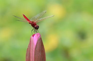 2019，精&ldquo;彩&rdquo;紛呈