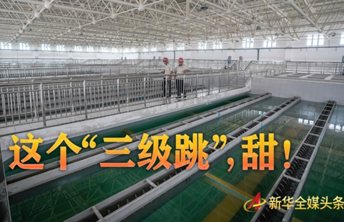 這個(gè)&ldquo;三級(jí)跳&rdquo;，甜！