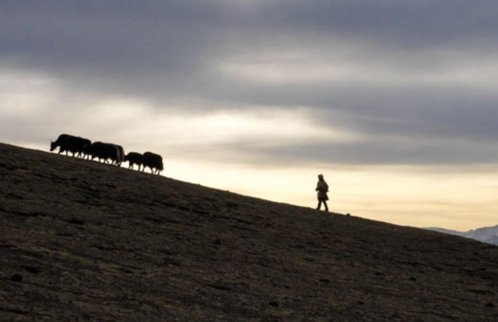 幸福來(lái)敲門丨普次仁的&ldquo;新牧場(chǎng)&rdquo;