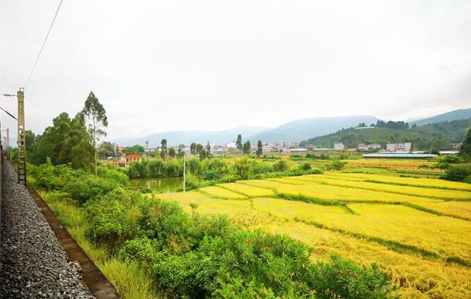 坐著高鐵看中國｜走成昆，感受闖過禁區(qū)的光影記錄