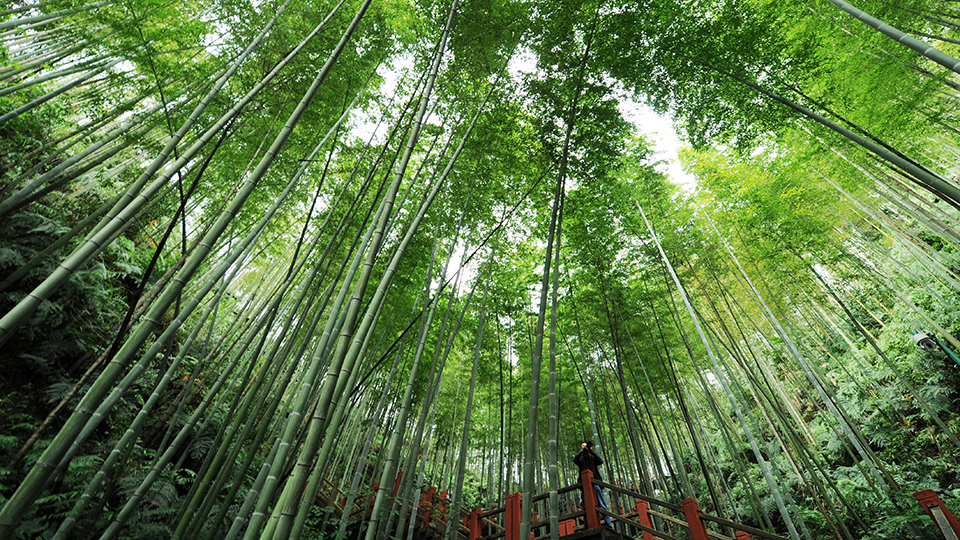 合作共治、責(zé)任共擔(dān)、效益共享&mdash;&mdash;赤水河流域跨省生態(tài)補(bǔ)償取得積極成效