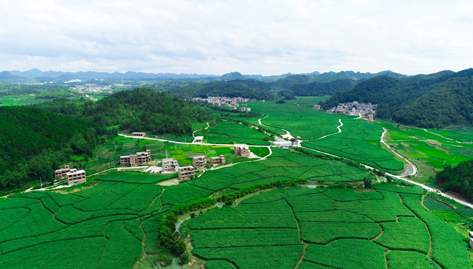 讓核子&ldquo;裂變&rdquo;的&ldquo;茭白隊長&rdquo;