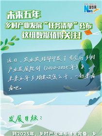 未來五年鄉(xiāng)村產業(yè)發(fā)展&ldquo;任務清單&rdquo;公布 這組數據值得關注！