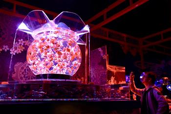 凌空金魚(yú)藝術(shù)展亮相&ldquo;空中上海&rdquo;