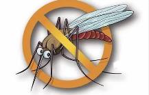 夏季，常見蚊蟲如何應(yīng)對