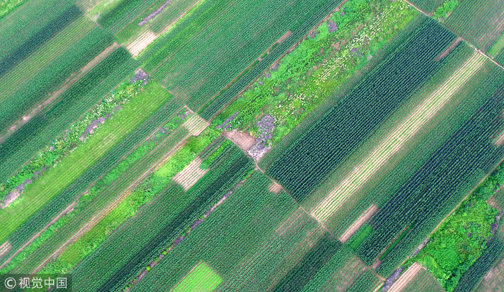 當(dāng)前城鄉(xiāng)融合發(fā)展存在的主要問(wèn)題及對(duì)策思考