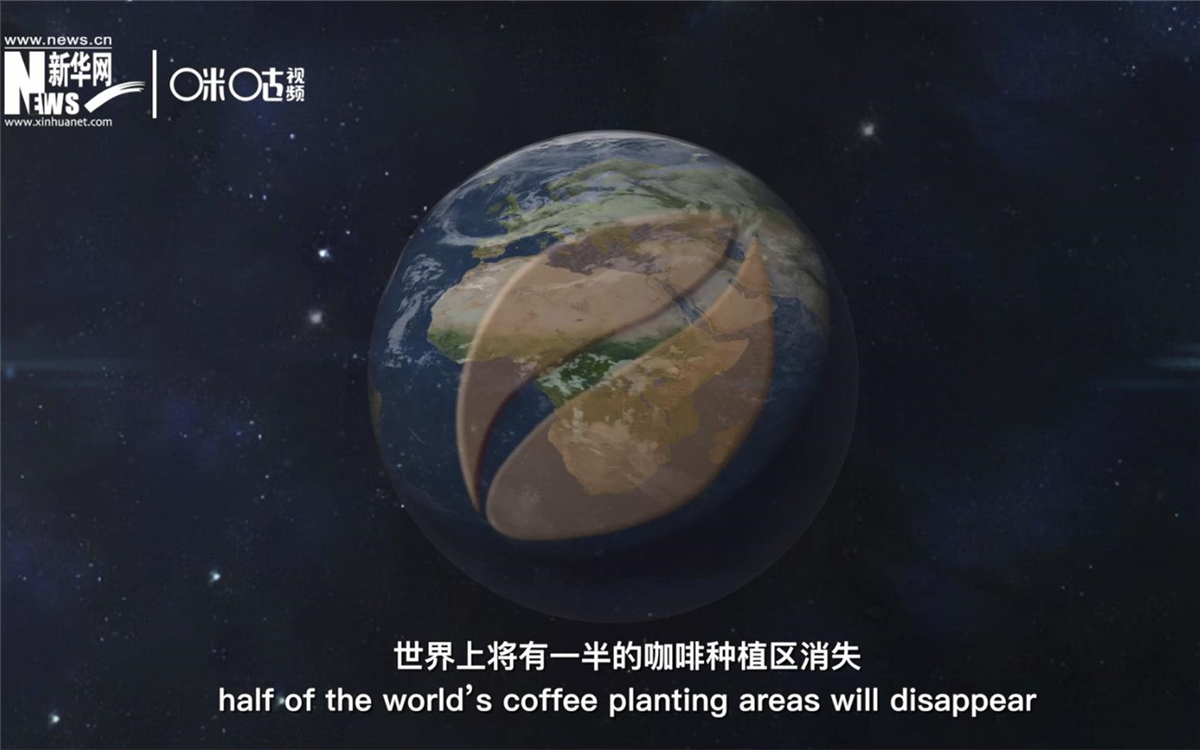 科學家預測到三十年后，世界上將有一半的咖啡種植區(qū)消失