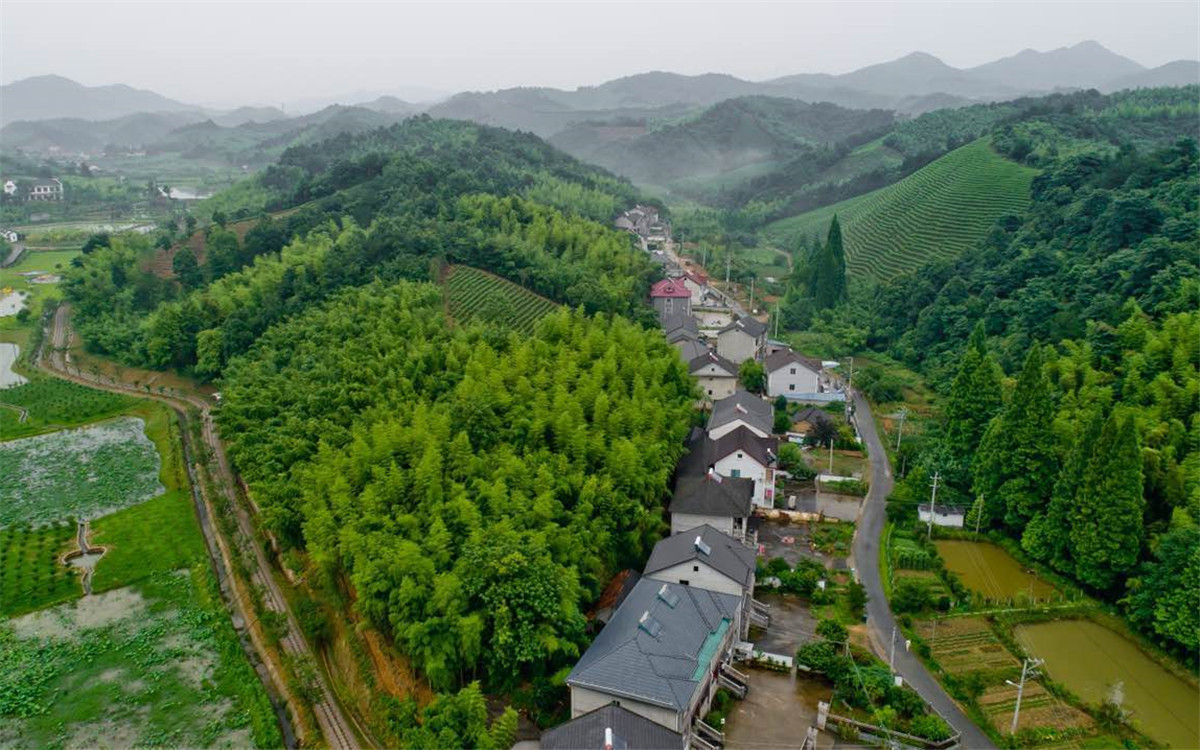 從2003年起，浙江省開展了&ldquo;千村示范、萬村整治&rdquo;工程