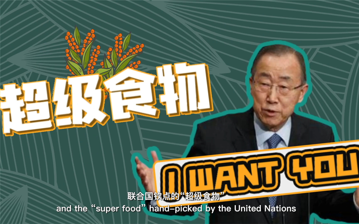 聯(lián)合國將藜麥視為抗擊饑餓的&ldquo;超級食物&rdquo;，大力推廣