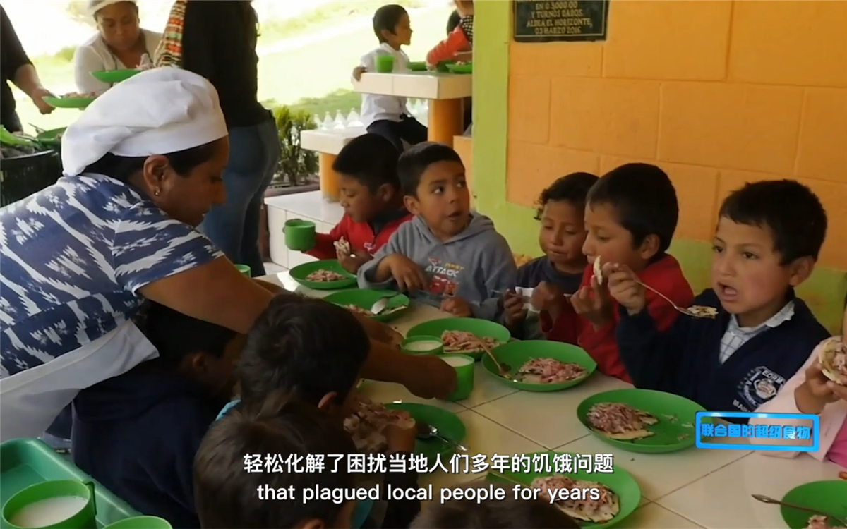 藜麥的蹤跡遍布北美、歐洲、亞洲和非洲多地