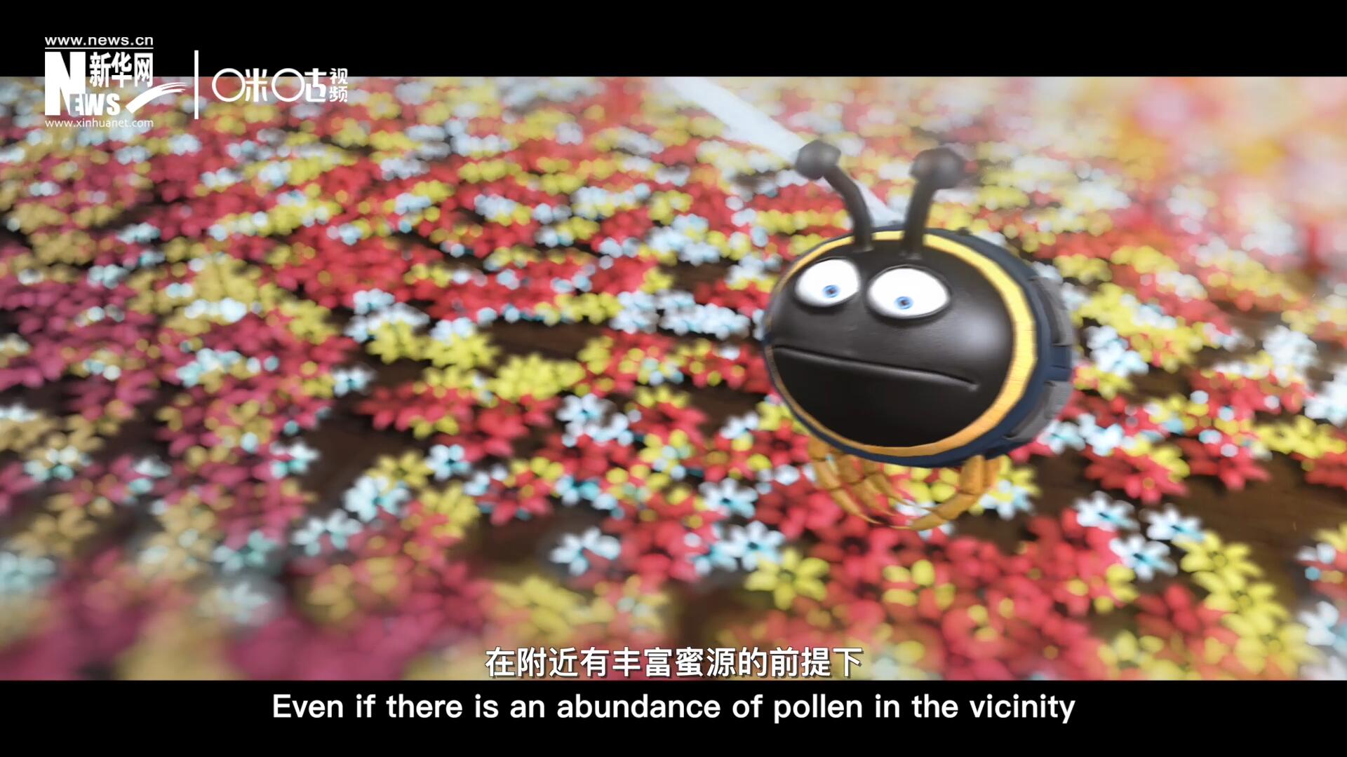 你知道一只蜜蜂采一公斤蜜有多辛苦嗎？據(jù)統(tǒng)計(jì)，在附近有豐富蜜源的前提下，一只蜜蜂大約需要飛行四萬千米