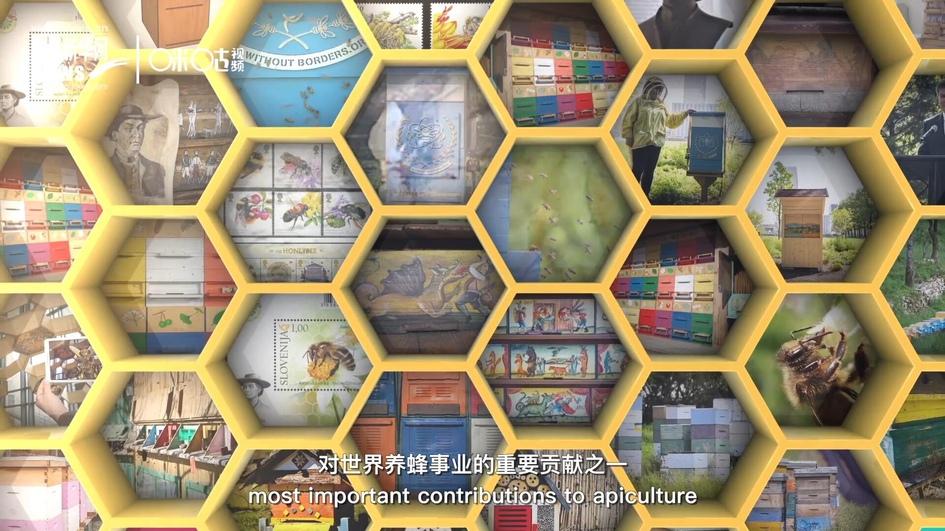 他開始用色彩豐富的畫作來裝飾蜂巢的前板，幫助不同蜂群按照習(xí)性和顏色順利找到自己的蜂巢