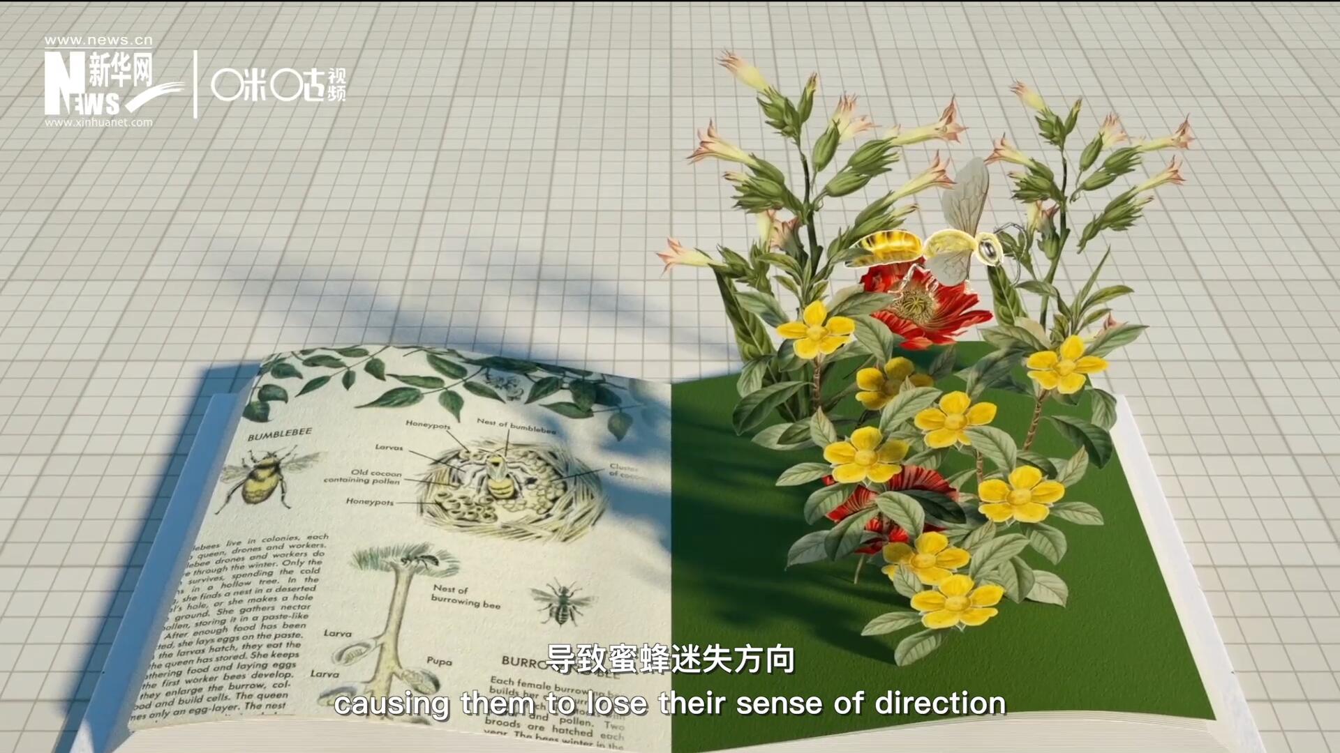 殺蟲劑會(huì)破壞蜜蜂的神經(jīng)系統(tǒng)，導(dǎo)致蜜蜂迷失方向，無法回到蜂房，還會(huì)降低蜜蜂的抵抗力