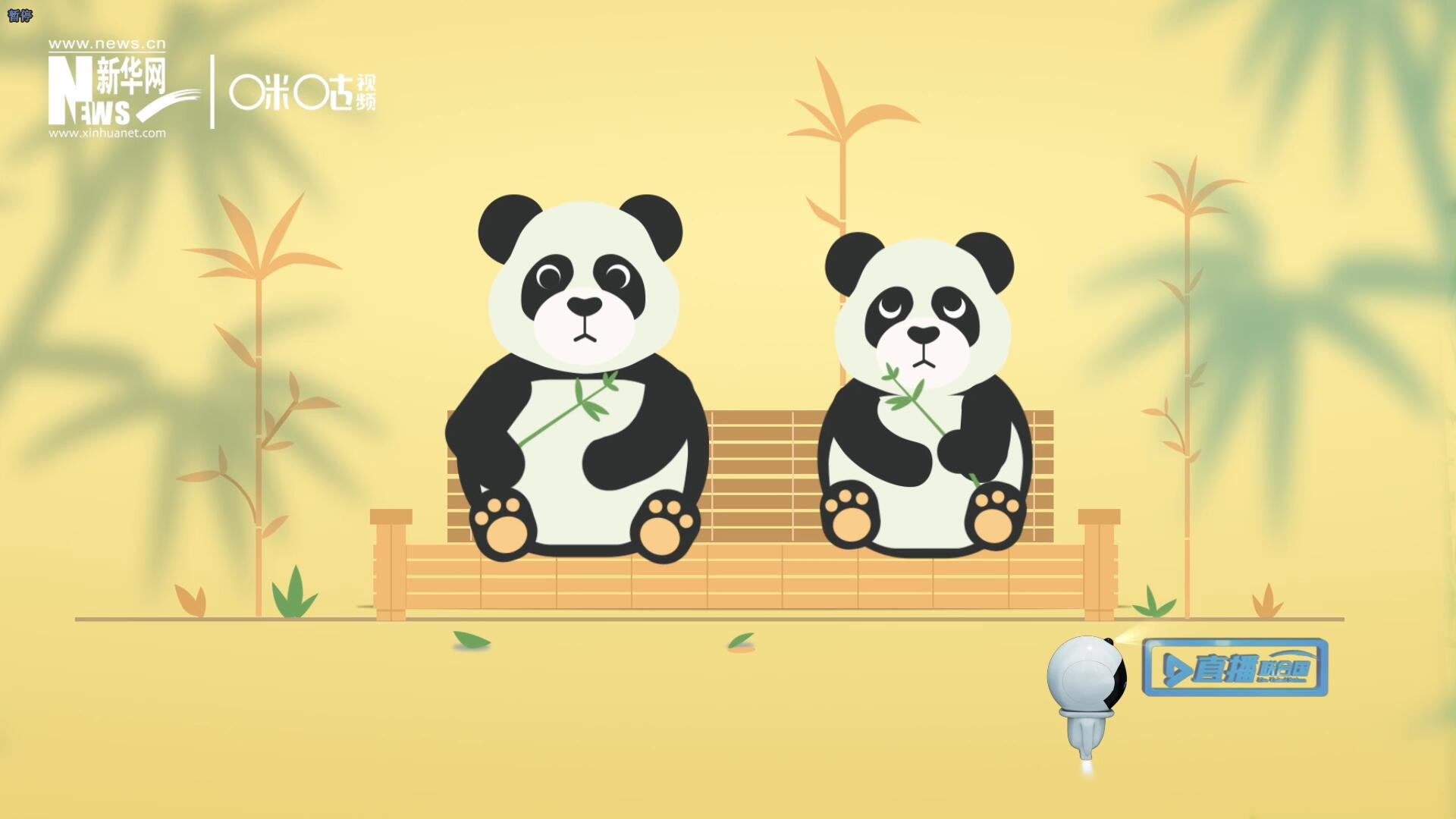 &ldquo;哥哥你看，又有人來看我們了。&rdquo;&ldquo;有什么奇怪的，我們可是聯(lián)合國&lsquo;最萌&rsquo;的大使??！&rdquo;。