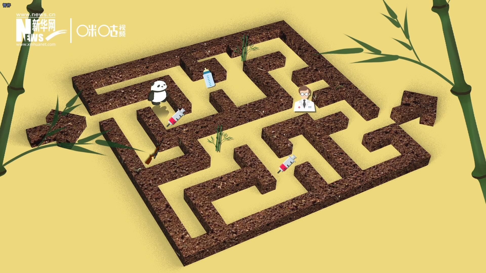 2016年，國際自然保護聯(lián)盟將大熊貓的物種瀕危等級，從&ldquo;瀕危&rdquo;下降到了&ldquo;易危&rdquo;。