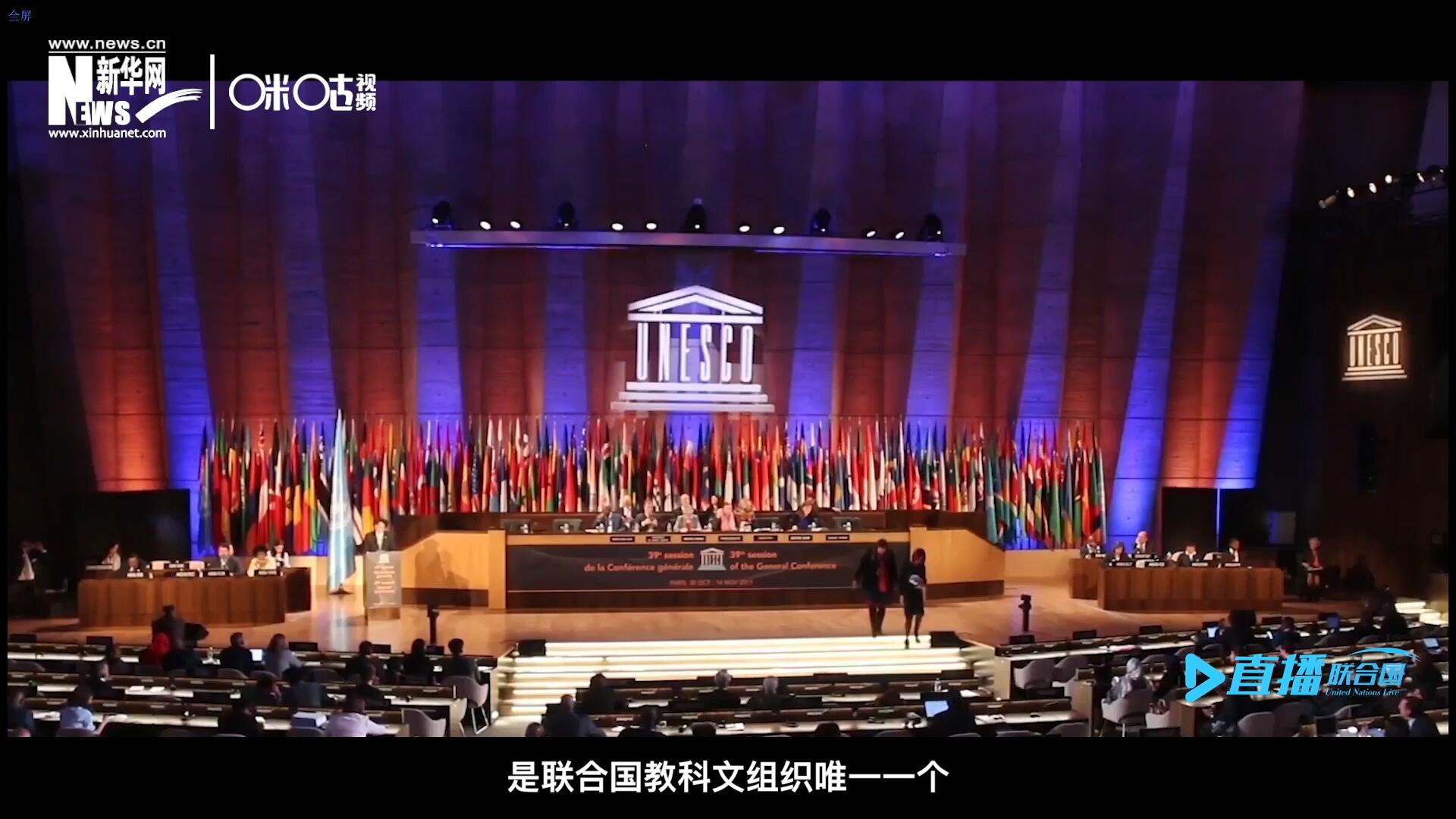 民間藝術(shù)國際組織成立于1979年，是聯(lián)合國教科文組織唯一一個以保護和挖掘國際民間藝術(shù)為工作中心的國際機構(gòu)。