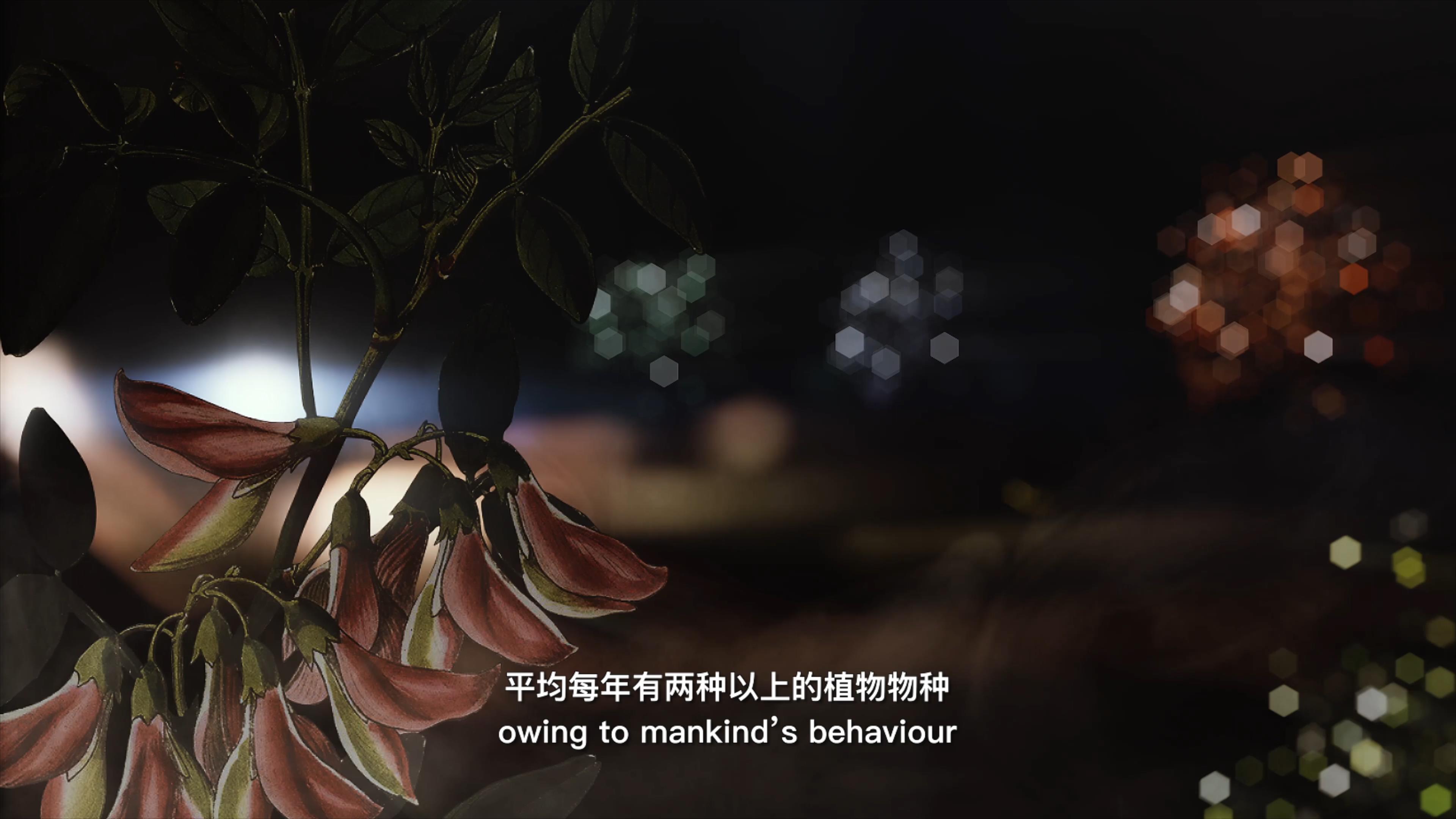 自18世紀(jì)中葉以來，許多植物物種因?yàn)槿祟惖脑蚨鴱牡厍蛏舷? />      
<div   id=