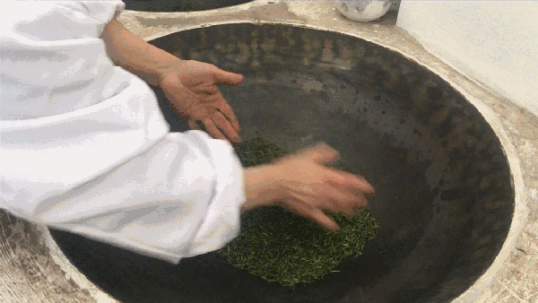 申遺，把雨花茶手藝傳承下去