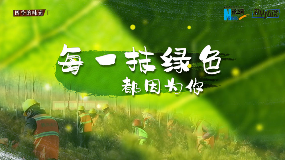 千年秀林，每一抹綠色都因?yàn)槟? /></p>
<p class=