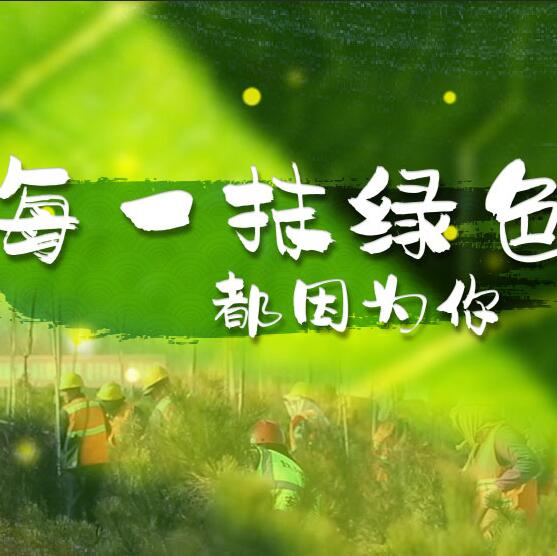 千年秀林，每一抹綠色都因?yàn)槟? /></a>       
<div   id=