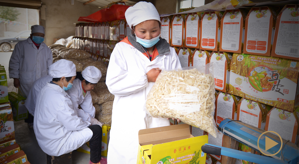 程夢醒和三結村的&ldquo;豆皮夢&rdquo;