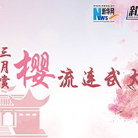 三月賞櫻，流連武大