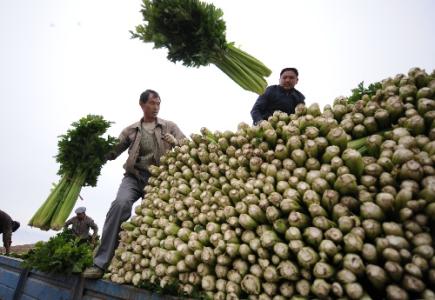 劉永富：發(fā)展產(chǎn)業(yè)脫貧仍是精準扶貧、精準脫貧主攻方向