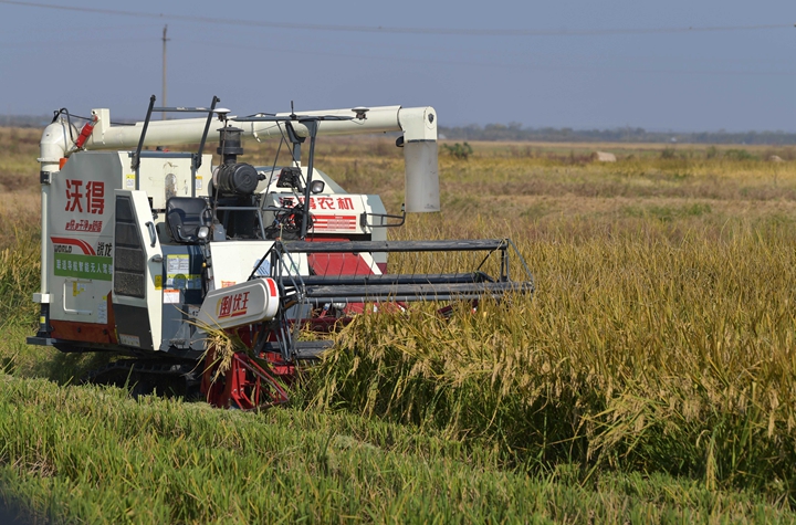 新華社評論員:穩(wěn)固耕地基本盤，打好種業(yè)翻身仗