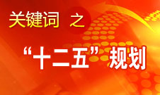 張平：&ldquo;十二五&rdquo;規(guī)劃實施的總體情況是好的