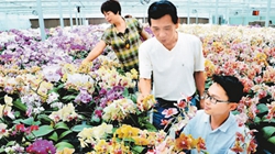 臺(tái)商眼中的改革開放：風(fēng)景這邊獨(dú)好 要去，要去，要去！