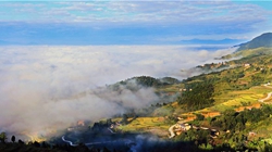 臺(tái)胞臺(tái)商熱議陜西惠臺(tái)&ldquo;60條&rdquo;：期盼落實(shí)、共享機(jī)遇