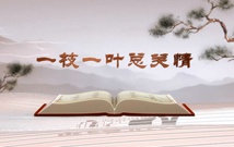 《平&ldquo;語&rdquo;近人&mdash;&mdash;習近平總書記用典》（第一集）一枝一葉總關(guān)情