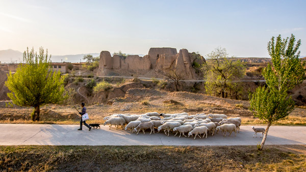 追夢(mèng)足跡｜上馬圈：鐵馬冰河，黃土斑駁