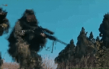 突入，擊斃！直擊武警特戰(zhàn)反劫持演練！