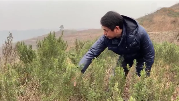 新春走基層｜脫貧后，駐村扶貧隊(duì)長(zhǎng)在干啥？