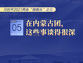 習(xí)近平2021兩會&ldquo;微鏡頭&rdquo;之三 3月5日 在內(nèi)蒙古團，這些事談得很深