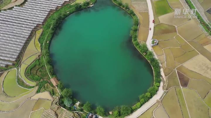 稻田新插，這里的山村美翻了！